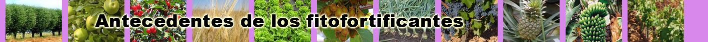 Antecedentes de los fitofortificantes