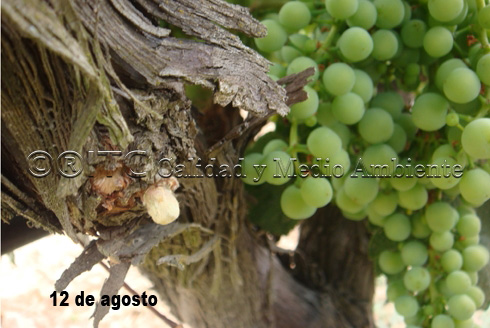 © ® ITC Calidad y Medio Ambiente