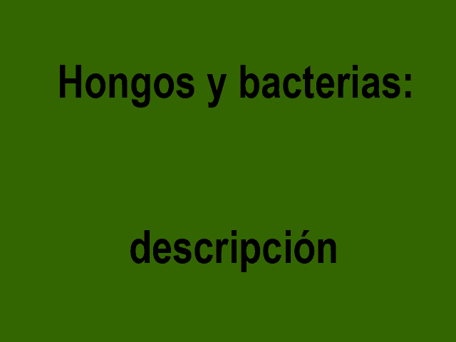 Cómo funcionan los hongos y bacterias patógenas. Qué métodos hay para su control.