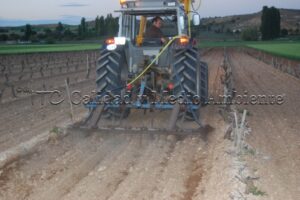 Metodología en el tratamiento contra Enfermedades de la Madera de la Vid (EMV) a través del suelo.