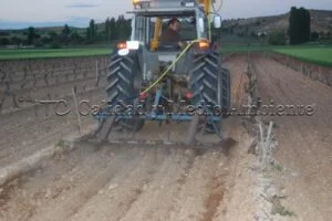 Metodología en el tratamiento contra Enfermedades de la Madera de la Vid (EMV) a través del suelo.