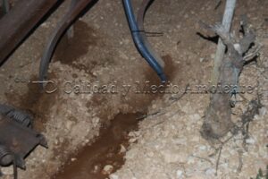 Metodología en el tratamiento contra Enfermedades de la Madera de la Vid (EMV) a través del suelo.