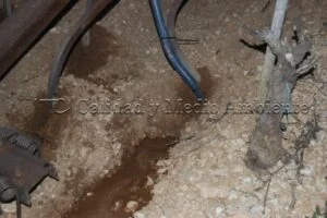 Metodología en el tratamiento contra Enfermedades de la Madera de la Vid (EMV) a través del suelo.