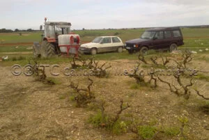 Metodología en el tratamiento contra Enfermedades de la Madera de la Vid (EMV) a través del suelo.