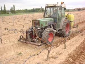 Metodología en el tratamiento contra Enfermedades de la Madera de la Vid (EMV) a través del suelo.