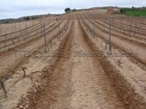Metodología en el tratamiento contra Enfermedades de la Madera de la Vid (EMV) a través del suelo.