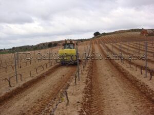 Metodología en el tratamiento contra Enfermedades de la Madera de la Vid (EMV) a través del suelo.