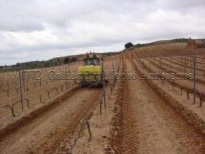 Metodología en el tratamiento contra Enfermedades de la Madera de la Vid (EMV) a través del suelo.