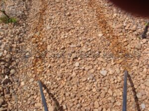 Metodología en el tratamiento contra Enfermedades de la Madera de la Vid (EMV) a través del suelo.