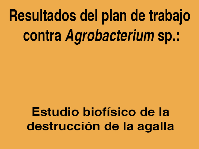 agrobacteriumweb1