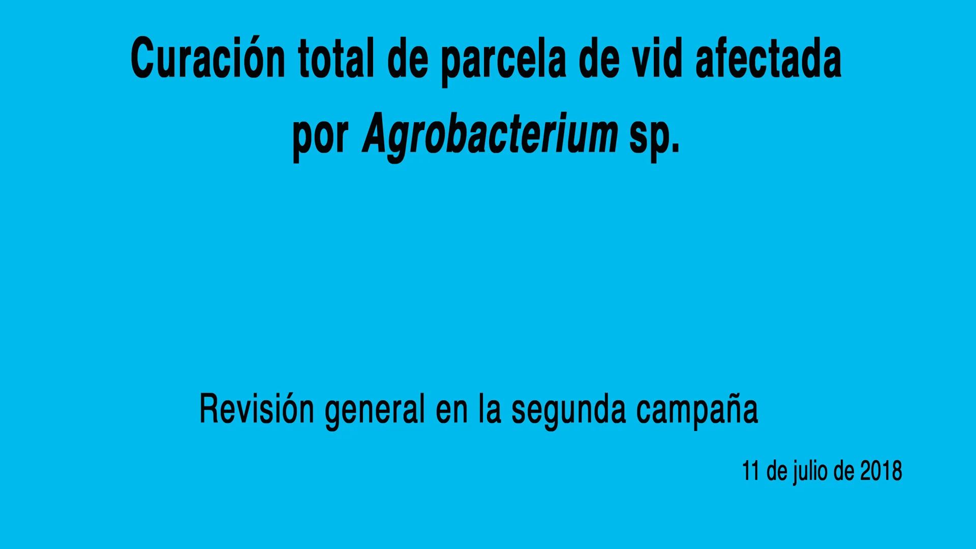 agrobacteriumweb3