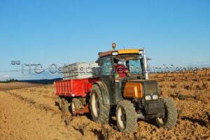 Metodología en el tratamiento contra Enfermedades de la Madera de la Vid (EMV) a través del suelo.