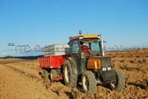 Metodología en el tratamiento contra Enfermedades de la Madera de la Vid (EMV) a través del suelo.