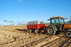 Metodología en el tratamiento contra Enfermedades de la Madera de la Vid (EMV) a través del suelo.