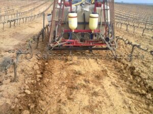 Metodología en el tratamiento contra Enfermedades de la Madera de la Vid (EMV) a través del suelo.