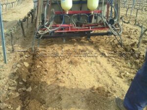 Metodología en el tratamiento contra Enfermedades de la Madera de la Vid (EMV) a través del suelo.
