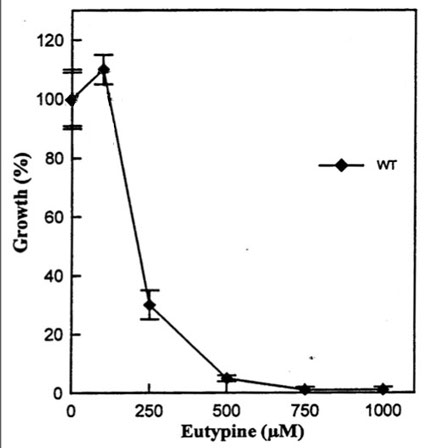 Saber más sobre Eutypa lata (eutipiosis) 7 Metodología en el tratamiento contra Enfermedades de la Madera de la Vid (EMV). Eutipiosis: Efectos de la Eutypa lata, a través la eutipina, sobre el crecimiento de diversos callos de vid (modificado de Guillén et al 1998).