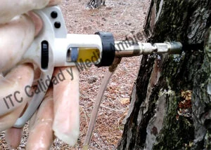 Aplicacion mediante Endoterapia de Tratamiento contra Procesionaria en pino (Pinus halepensis).