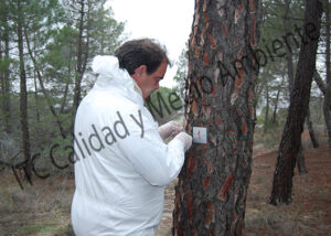 Aplicacion mediante Endoterapia de Tratamiento contra Procesionaria en pino (Pinus halepensis).