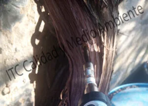 Aplicaciones nutricionales mediante Endoterapia en vid (Vitis vinifera)