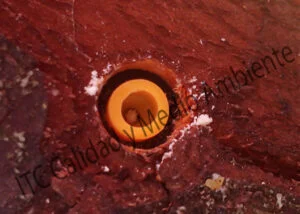 Aplicaciones nutricionales mediante Endoterapia en mebrillero (Cydonia oblonga)
