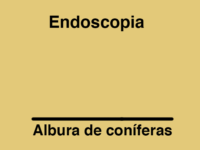 endoscopiaweb