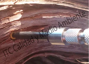 Tratamientos especiales: Aplicacion mediante Endoterapia en vid (Vitis vinifera)