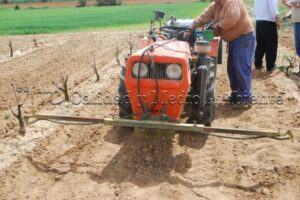 Metodología en el tratamiento contra Enfermedades de la Madera de la Vid (EMV) a través del suelo.