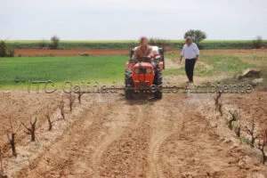 Metodología en el tratamiento contra Enfermedades de la Madera de la Vid (EMV) a través del suelo.