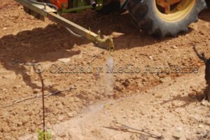 Metodología en el tratamiento contra Enfermedades de la Madera de la Vid (EMV) a través del suelo.