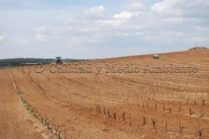 Metodología en el tratamiento contra Enfermedades de la Madera de la Vid (EMV) a través del suelo.