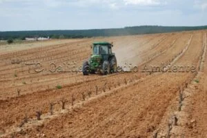 Metodología en el tratamiento contra Enfermedades de la Madera de la Vid (EMV) a través del suelo.