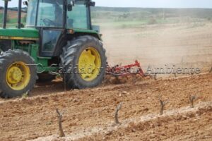Metodología en el tratamiento contra Enfermedades de la Madera de la Vid (EMV) a través del suelo.