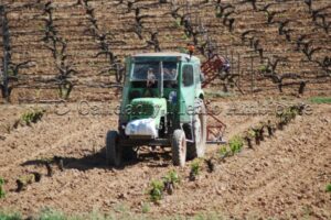 Metodología en el tratamiento contra Enfermedades de la Madera de la Vid (EMV) a través del suelo.