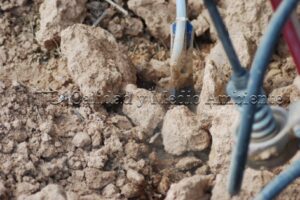 Metodología en el tratamiento contra Enfermedades de la Madera de la Vid (EMV) a través del suelo.