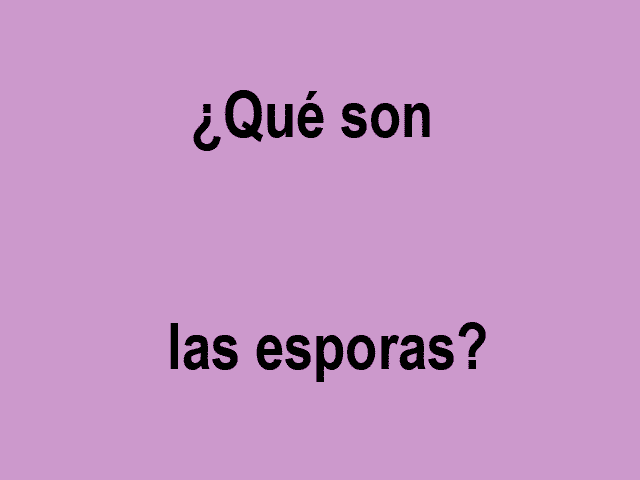quesonlasesporas