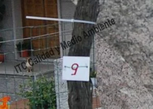 Metodología para el tratamiento contra Enfermedades de la Madera de la Vid (EMV): Parcela de vid de 24 años en parrón afectada por Armillaria y yesca en proceso de recuperación. Detalle de marcas de seguimiento de renovación de tejidos vasculares del tronco.