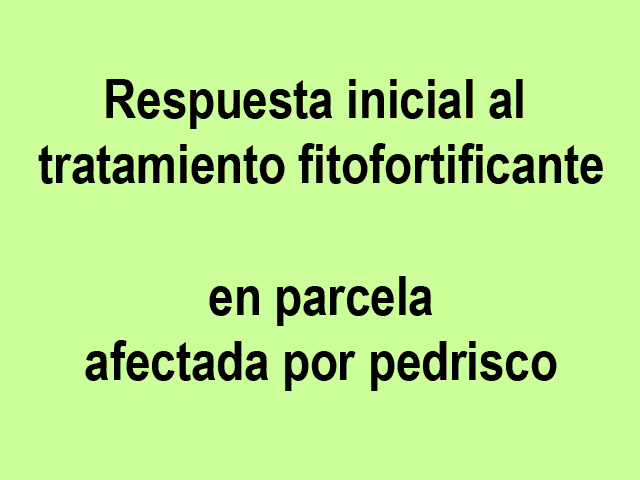 Observaciones realizadas 12 días después de la granizada - 10 días después de la aplicación.