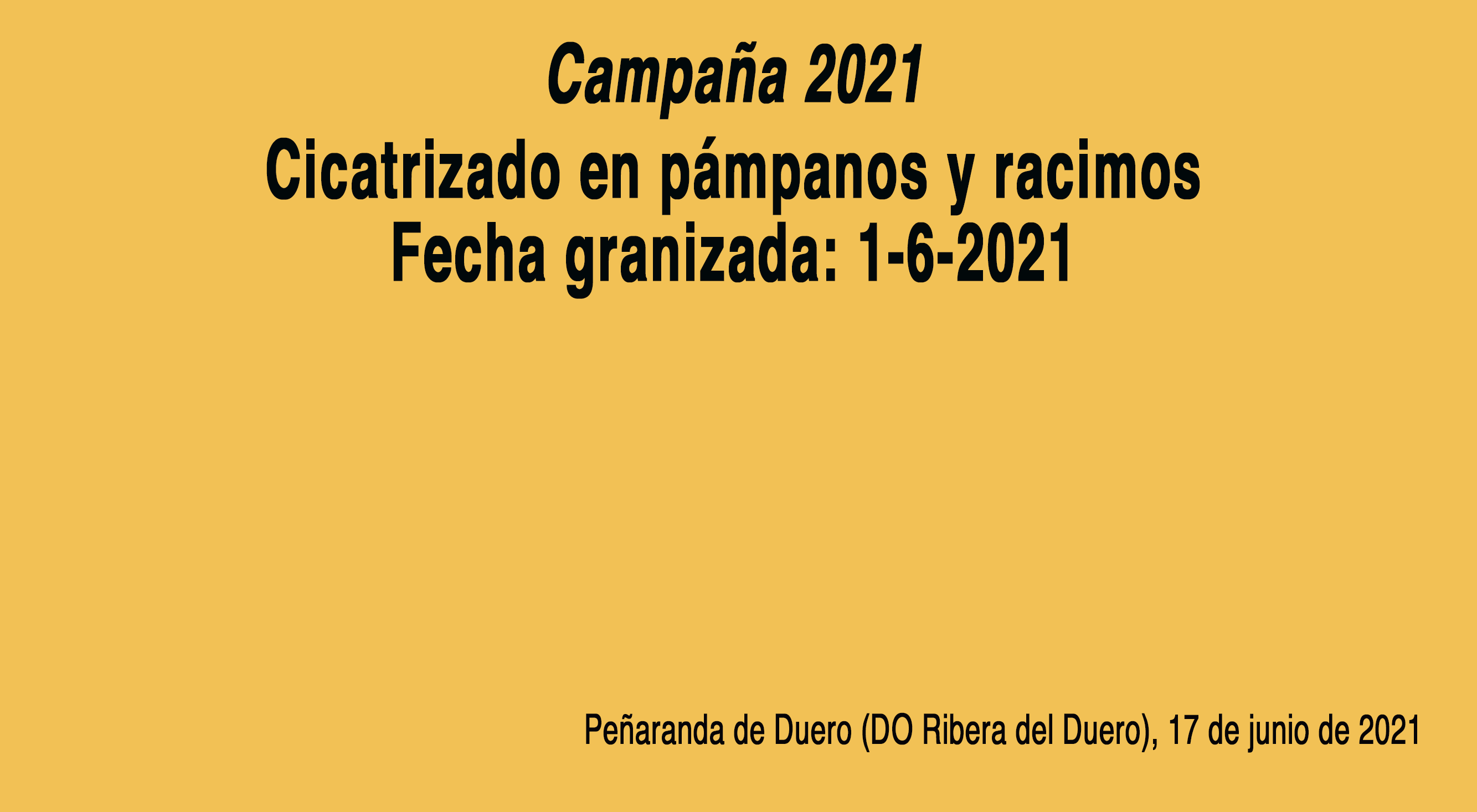 ¿Cómo actúa el tratamiento con estos componentes sobre la planta? Cicatrizado perfecto de las heridas a nivel interno y total renovación del sistema vascular dañado.