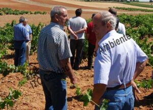 ITC Calidad y Medio Ambiente en fitofortificantes.net: el saber hacer de la experiencia. Acercando la ciencia a los maestros del campo.