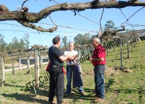 ITC Calidad y Medio Ambiente en fitofortificantes.net: el saber hacer de la experiencia. Acercando la ciencia a los maestros del campo.