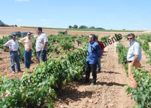 ITC Calidad y Medio Ambiente en fitofortificantes.net: el saber hacer de la experiencia. Acercando la ciencia a los maestros del campo.