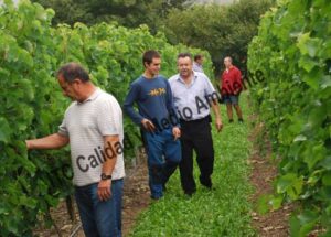 ITC Calidad y Medio Ambiente en fitofortificantes.net: el saber hacer de la experiencia. Acercando la ciencia a los maestros del campo.