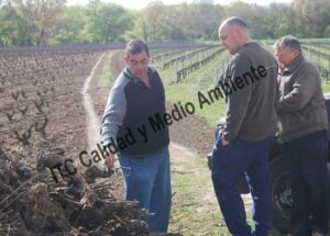 ITC Calidad y Medio Ambiente en fitofortificantes.net: el saber hacer de la experiencia. Acercando la ciencia a los maestros del campo.