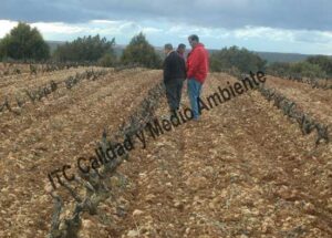 ITC Calidad y Medio Ambiente en fitofortificantes.net: el saber hacer de la experiencia. Acercando la ciencia a los maestros del campo.