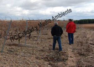 ITC Calidad y Medio Ambiente en fitofortificantes.net: el saber hacer de la experiencia.