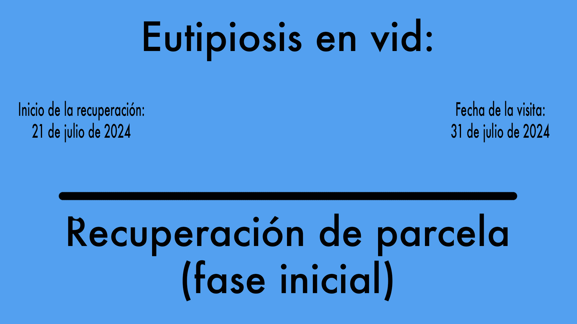 ¿Cómo se cura la eutipiosis de la vid?
