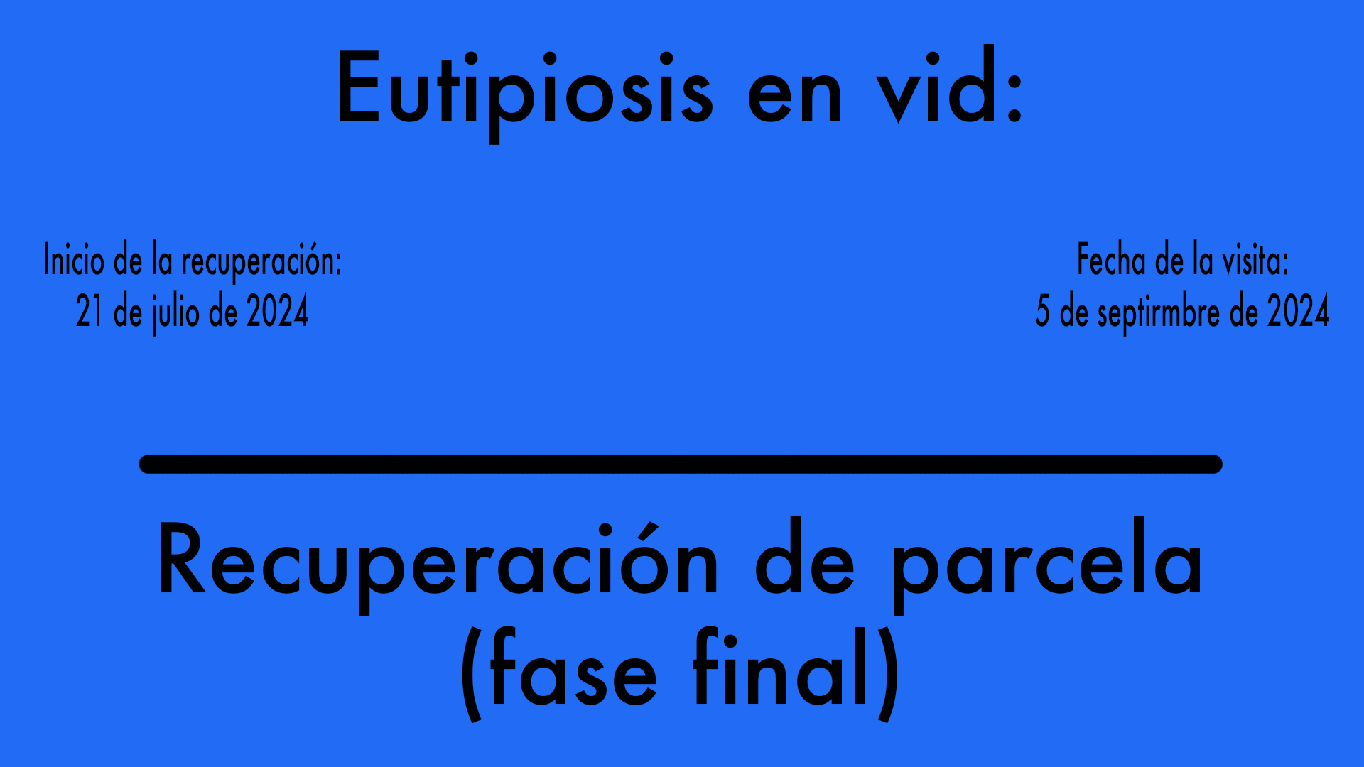 Curación de la eutipiosis de la vid