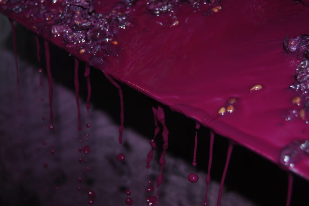 Calidad del Vino: Tratamientos en el Viñedo para potenciar sus características 6 Color del sangrado de depósito en bodega de uvas procedentes de parcelas que han llevado a cabo la metodología para mejorar la calidad del vino. D.O. Ribera del Duero
