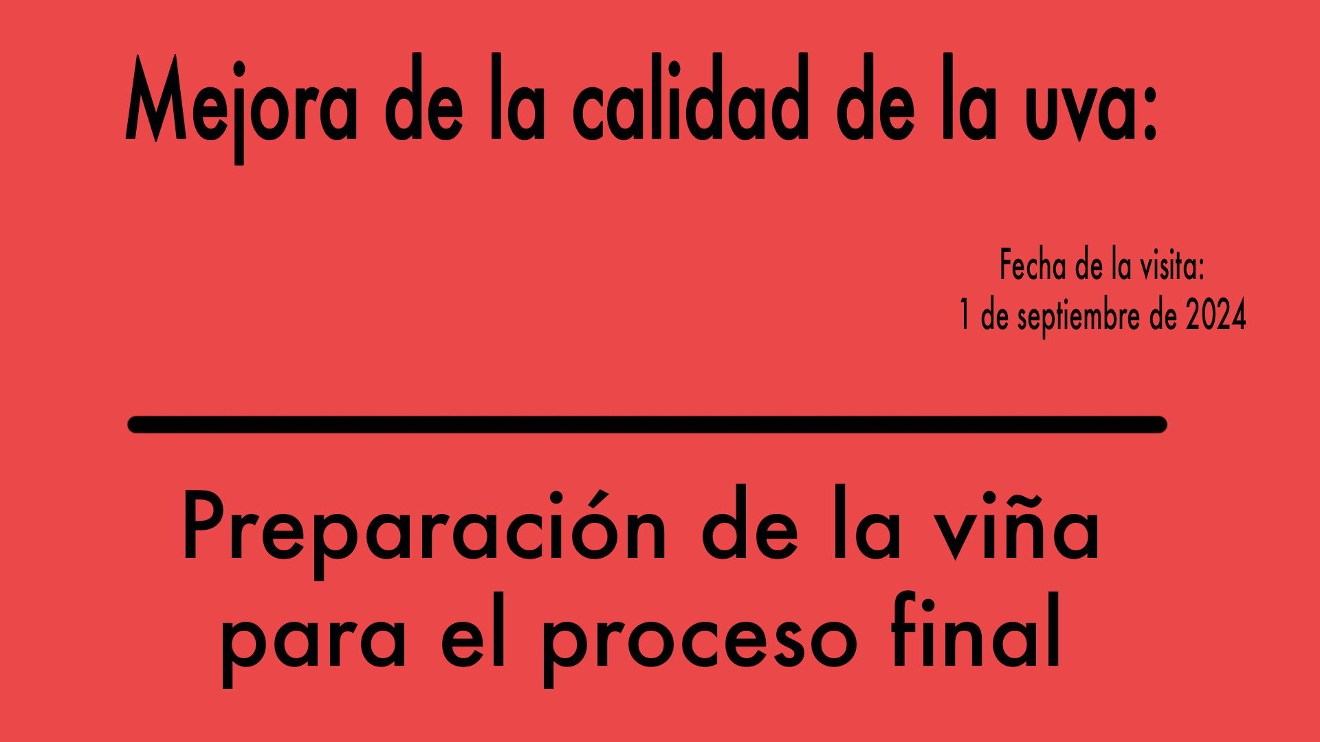 ¿Cómo se prepara la viña para potenciar la calidad de la uva?